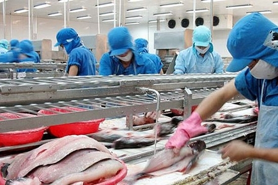 Giá cá tra “nhảy vọt” giúp Vĩnh Hoàn (VHC) hoàn thành 83% kế hoạch lợi nhuận chỉ sau 6 tháng