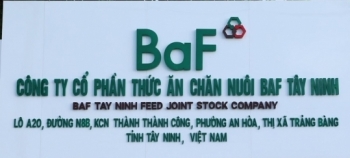 Cổ phiếu BAF "được giá", lãnh đạo Nông nghiệp BAF Việt Nam nhộn nhịp chốt lời
