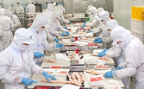 ANV tiếp tục góp vốn thành lập công ty chế biến thức ăn thủy sản