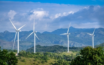 Hiệp hội Điện gió Toàn cầu: Việt Nam cần sớm gia hạn biểu giá FIT đối với điện gió