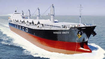 Vận tải biển Việt Nam muốn giảm tỉ lệ sở hữu tại công ty con Vosal xuống 36%