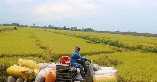Vật tư Kỹ thuật Nông nghiệp Cần Thơ (TSC) kỳ vọng doanh thu “khủng” năm 2022