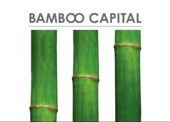Bamboo Capital mục tiêu đạt đỉnh lợi nhuận, sẽ tăng vốn lên 5.000 tỷ đồng