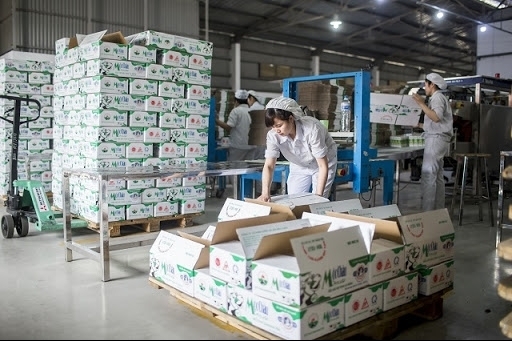 Mộc Châu Milk nâng chi trả cổ tức năm 2021 lên 25%, cân nhắc tăng giá bán sản phẩm có đường