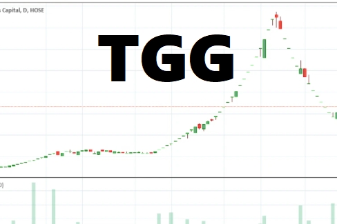Chi hơn trăm tỷ “bắt đáy” cổ phiếu TGG, tài khoản một nữ đại gia lỗ quá nửa sau 2 tuần
