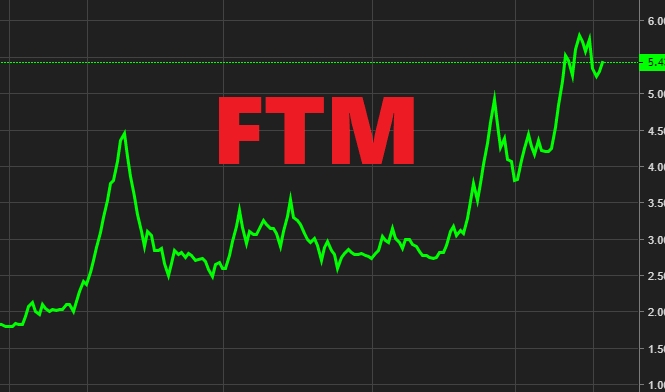 Cổ phiếu FTM tăng mạnh bất chấp thua lỗ kéo dài 11 quý liên tiếp