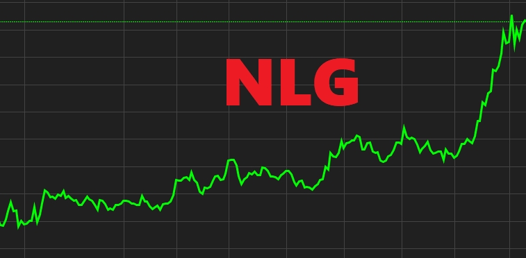 Đầu tư Nam Long (NLG): Phát hành thêm 38 triệu cổ phiếu, tạm ứng 214 tỷ đồng trả cổ tức
