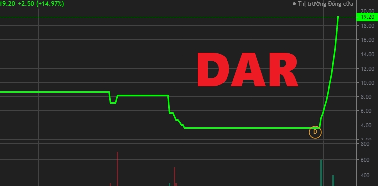Cổ phiếu DAR (Xe lửa Dĩ An) tăng trần 11 phiên liên tiếp lên 19.200 đồng/cp